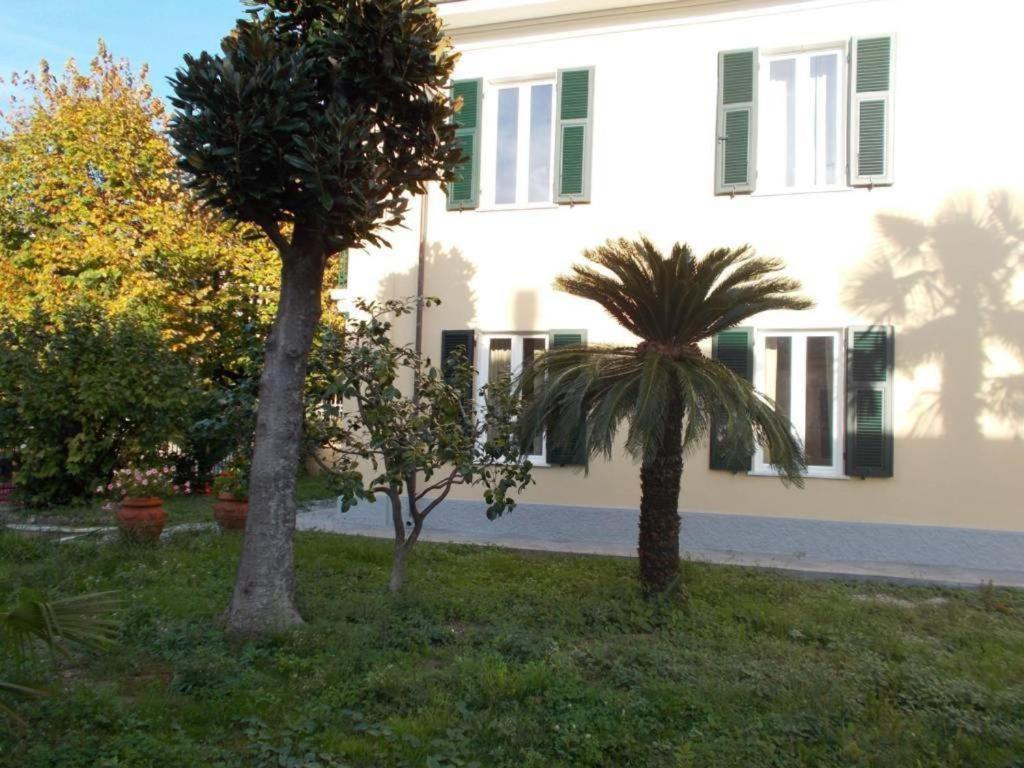 B&B Rossana Carrara Buitenkant foto